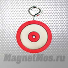 Двухсторонний магнит 200*2