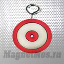 Двухсторонний магнит 300*2